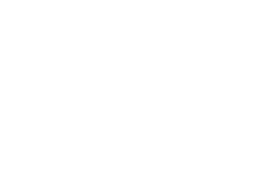 The Norley Group, LLC